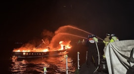 블라인드 | 대교 뉴스