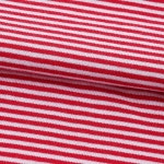 [단톤]SS26 여성 반팔 이너 티셔츠DT C0195 CVT RED X WHITE - LABELLUSSO [단톤]SS26 여성 반팔 이너 티셔츠DT C0195 CVT RED X WHITE