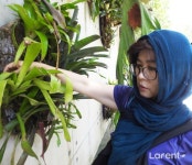 [생명정원도시] 생명정원도시의 정수, Gardens by the Bay [라펜트 조경뉴스]