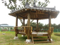 라펜트 검색