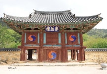 라펜트 검색