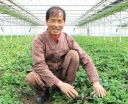 이종현 명인 자연 그대로의 취나물!, 삼마사농원 이종현 명인 - 램프쿡 이종현 명인  자연 그대로의 취나물!, 삼마사농원 이종현 명인 - 램프쿡