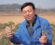 영흥농장 함승주 명인 - 램프쿡 농업회사법인 (주)수미지인  국내 당귀산업의 혁명, 영흥당귀! 영흥농장 함승주 명인 - 램프쿡