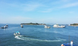안면도 영목항 갯마을체험 수산물 축제 봄(Spring) - 램프쿡