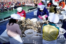 한려수도(통영) 굴축제 겨울(Winter) - 램프쿡