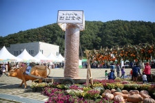 시배지에서 맛보는 명품 호두 천안 광덕 호두 축제 충남 미식 축제 - 램프쿡