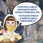 GSP 품종뉴스 슈퍼왕전복 건강한 식재료 카드뉴스 - 램프쿡