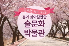 봄에 찾아갈만한 술문화 박물관 전통주 축제.나들이 - 램프쿡