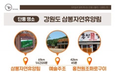 단풍 나들이 삼봉자연휴양림 강원도편 전통주 축제.나들이 - 램프쿡