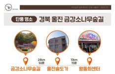 단풍 나들이 금강소나무숲길 경상도편 전통주 축제.나들이 - 램프쿡