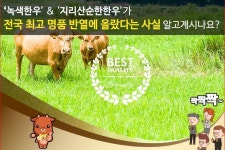 녹색한우 한우 - 램프쿡