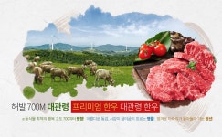 대관령한우 한우 - 램프쿡