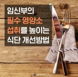 임신부의 필수 영양소 섭취를 높이는 식단 개선방법 임산부 건강관리 - 램프쿡