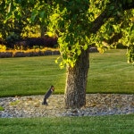 [LED 5W] 파프 330 수목등(IPX5) - (주)램프랜드 [LED 5W] 파프 330 수목등(IPX5)