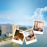 [충남] 보령 비체팰리스 조식or치맥패키지(5/1~7/14) | 온오프믹스 플레이