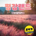 ★특가★[경기] 포천 평강랜드 - 온오프믹스 :: 모임문화 플랫폼 ★특가★[경기] 포천 평강랜드