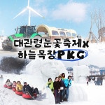 [강원] 대관령 눈꽃축제+하늘목장 PKG | 온오프믹스 플레이