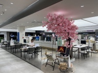 춘천퇴계점 | 매장찾기 | 베스트샵 | LG전자