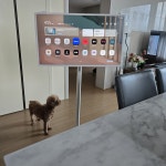 LG 스탠바이미 FHD (68 cm) | 27ART10DSPL | TV | LG전자