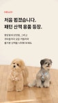 리카리카(LIKALIKA) 커들리 토이 하네스 H자형 (래빗) - 후기 | 무신사
