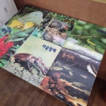 개똥이네-중고서적전문사이트 (개똥이네) 자연의 신비