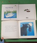 개똥이네-중고서적전문사이트 (개똥이네) 교원 자연동화