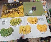 개똥이네-중고서적전문사이트 (개똥이네) 북스북스