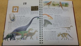 개똥이네-중고서적전문사이트 (개똥이네) 대발견! 입체자연과학탐험 PLUS