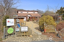 [매일아이] 은빛 억새바다의 가을노래, 강원 정선