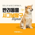 주황과 검정의 반려동물 시그널탐구 카드뉴스 - 망고보드 템플릿 주황과 검정의 반려동물 시그널탐구 카드뉴스