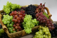 28차 CRA 늘사랑농원 포도 28차 CRA 늘사랑농원 포도 