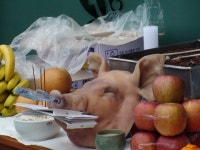 재활과 > 이메일 보내기