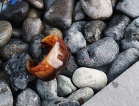 다트 벌륜 데님_SK - (주)드노리타 드노리타