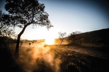 The Elephant Charge is the Ultimate African Off-Road Experience - Maxim