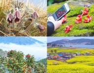 추천여행지 - 장흥의 3월은 꽃길이어라, 한재공원과 천관산 동백숲 | 문화체육관광부