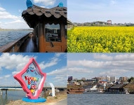 추천여행지 - 영산강에 샛노란 봄이 오나봄, 나주 영산강둔치체육공원 | 문화체육관광부