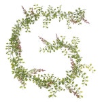 더리얼스 엠데코:대한민국 대표 플라워 종합쇼핑몰