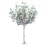 더리얼스 엠데코:대한민국 대표 플라워 종합쇼핑몰