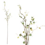 더리얼스 엠데코:대한민국 대표 플라워 종합쇼핑몰