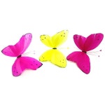 더리얼스 엠데코:대한민국 대표 플라워 종합쇼핑몰