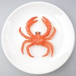 종합쇼핑몰 [더리얼스 엠데코] 대게 꽃게 모형 인조 크랩 찜 10cm 음식모형 해산물 요리 뷔페 마트 데코 바다생물 데코 장식 가짜 바닷가재 교구 RR