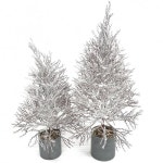 더리얼스 엠데코:대한민국 대표 플라워 종합쇼핑몰 [더리얼스 엠데코] 크리스마스 트리 스노우 위더 눈 나무 츄리 55cm 70cm 2종 택1 세트상품