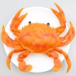 대표 플라워 종합쇼핑몰 [더리얼스 엠데코] 꽃게 모형 찜 구이 19cm 톱날꽃게 머드크랩 청게 음식모형 해산물 요리 바다생물 가짜 교구 RR