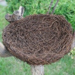 더리얼스 엠데코:대한민국 대표 플라워 종합쇼핑몰 [더리얼스 엠데코] 새 둥지 모형 30cm 자연소재 새집 버드하우스 네츄럴 새둥지