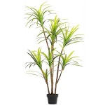 더리얼스 엠데코:대한민국 대표 플라워 종합쇼핑몰 [더리얼스 엠데코] 리얼터치 용설란 나무 8H 200cm 2그루 세트 자바나무 인조목 인조나무... 