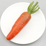 더리얼스 엠데코:대한민국 대표 플라워 종합쇼핑몰 [더리얼스 엠데코] 뿌리 당근 모형 홍당무 17.8cm 모조 채소 야채 음식 장식 소품 데코 꾸미기