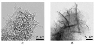 Carbon Nanostructures Decorated with Titania: Morphological Control and Applications