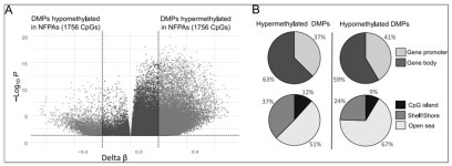 The Role of Aberrant DNA Methylation in Misregulation of Gene Expression in Gonadotroph Nonfunctioning Pituitary Tumors