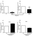 miR-140-5p Attenuates Hypoxia-Induced Breast Cancer Progression by Targeting Nrf2/HO-1 Axis in a Keap1-Independent Mechanism