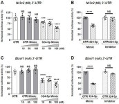 miR-324-5p and miR-30c-2-3p Alter Renal Mineralocorticoid Receptor Signaling under Hypertonicity